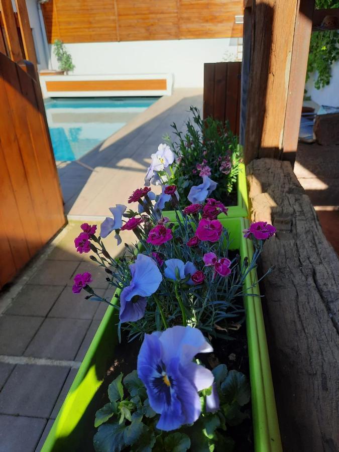 Oasis D'Alsace Villa Valff Buitenkant foto